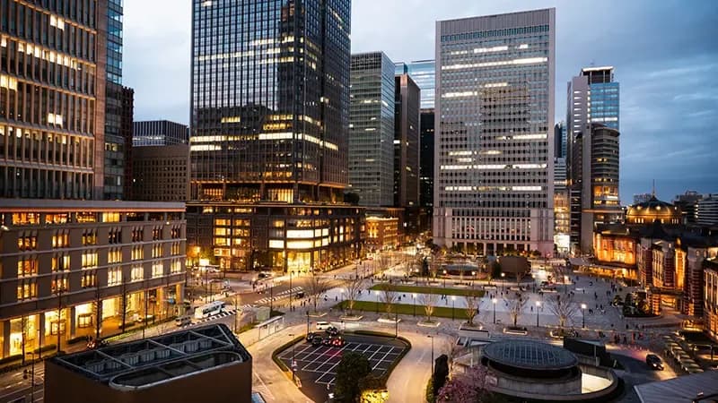 Pricing Volatility and The Rise of LFP